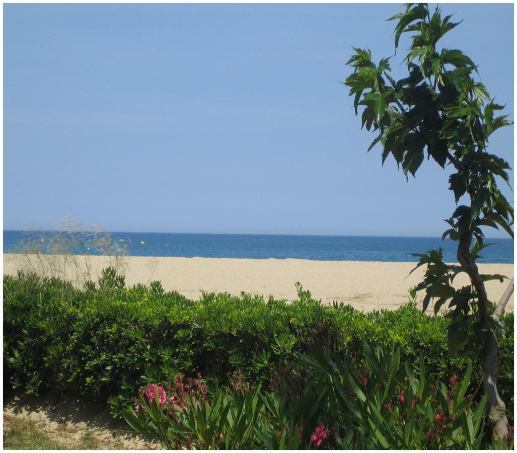 ארגלס-סור-מר Locations Meublees Plage Des Pins מראה חיצוני תמונה