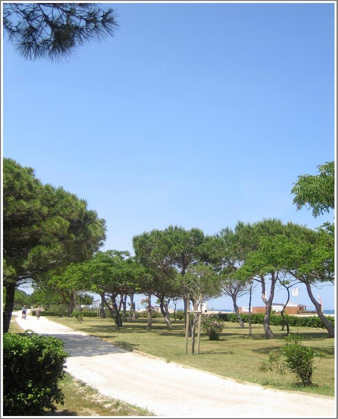 ארגלס-סור-מר Locations Meublees Plage Des Pins מראה חיצוני תמונה